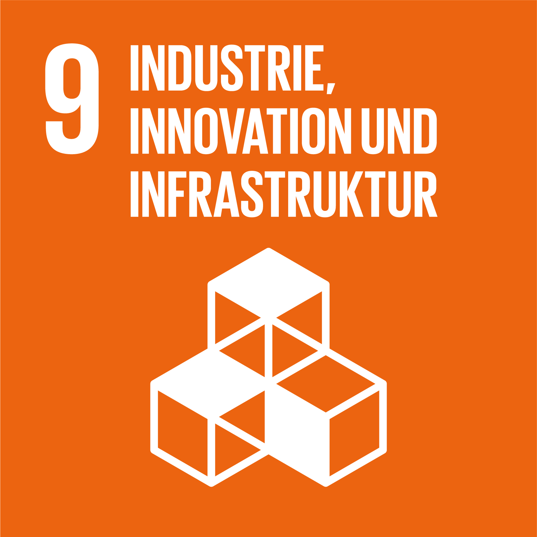sdg icon 9