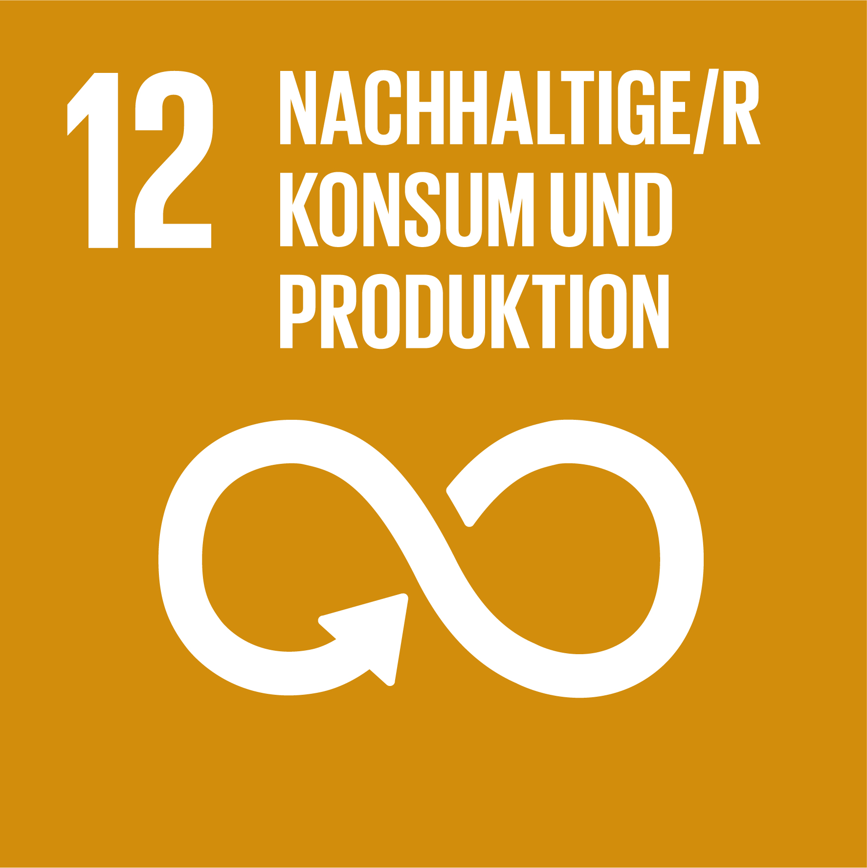 sdg icon 12