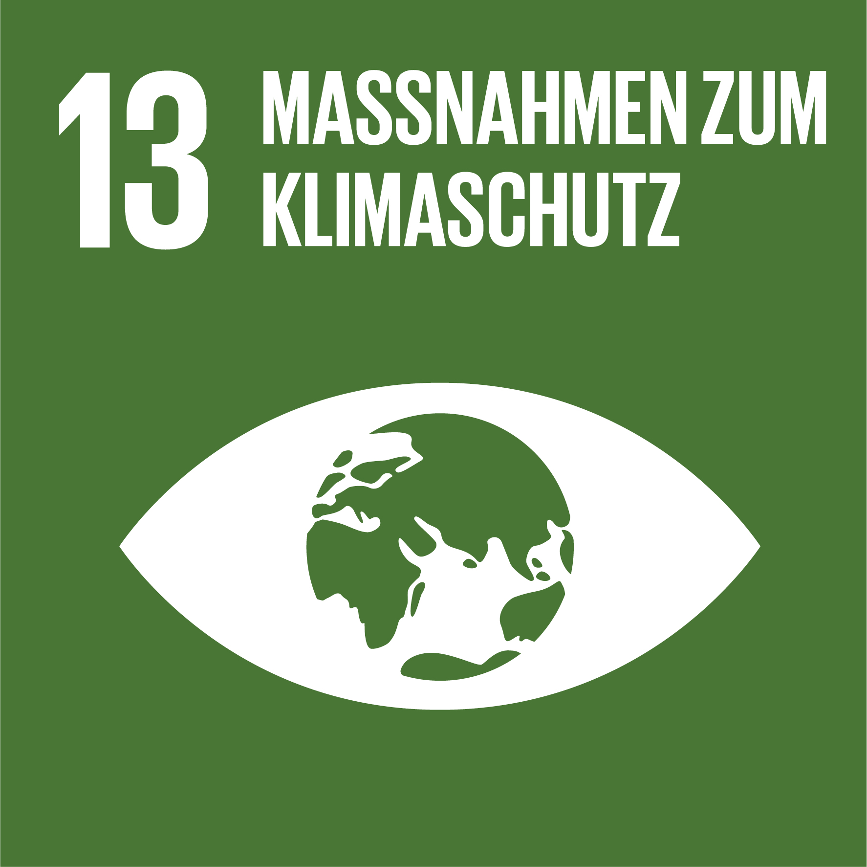 sdg icon 13