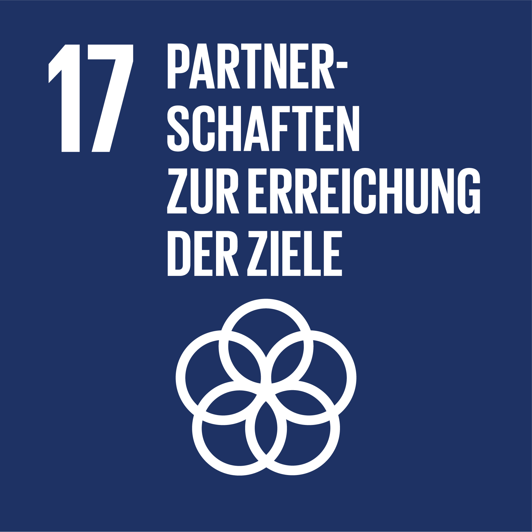 sdg icon 17